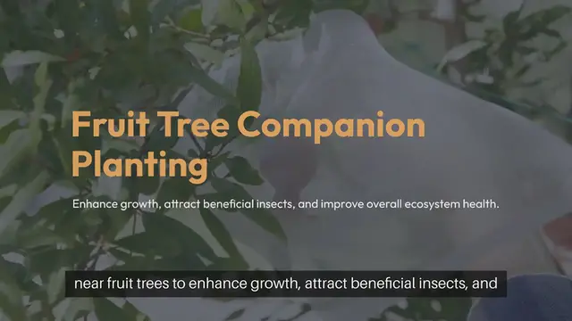 'Video thumbnail for Fruit Tree Companion Planting Guide'