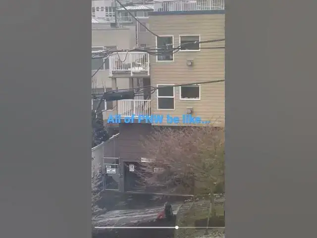 'Video thumbnail for PNW ice storm 2022 from Portland to Puget Sound!'