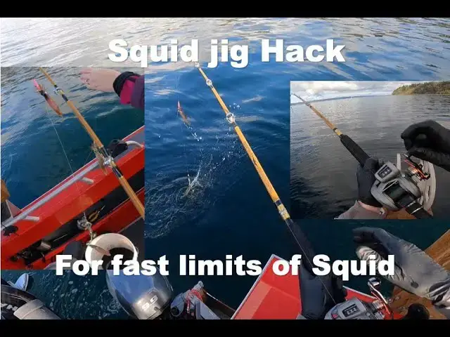 'Video thumbnail for Squid Jig HACK for FAST LIMITS - Using line counters!'