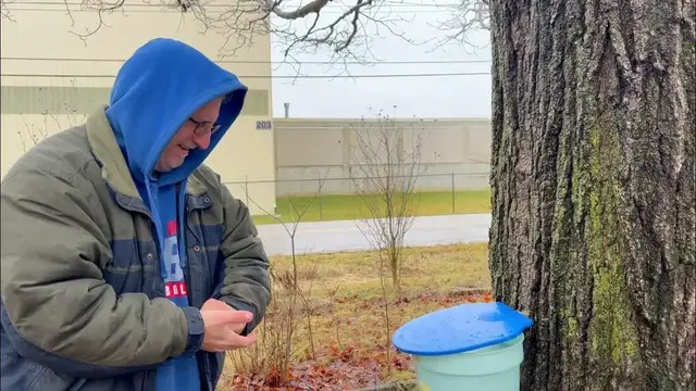'Video thumbnail for Maple Tree Tapping Tips with Jeffrey Rhoades on Our Homestead'