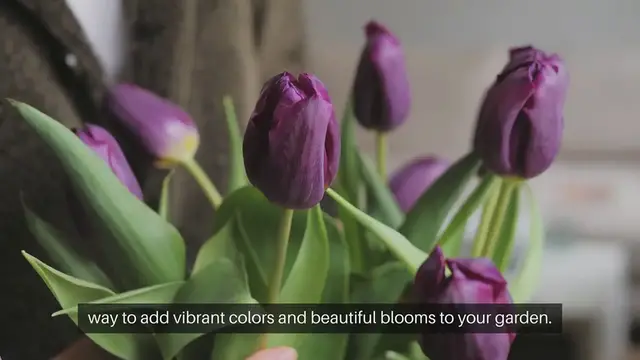 'Video thumbnail for Flower Bulb Planting Guide'