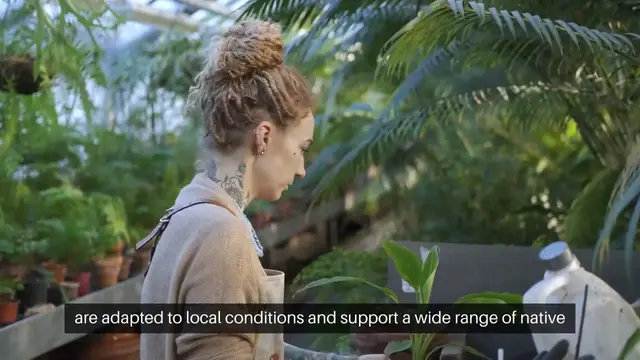'Video thumbnail for Replacing Invasives with Native Alternatives'