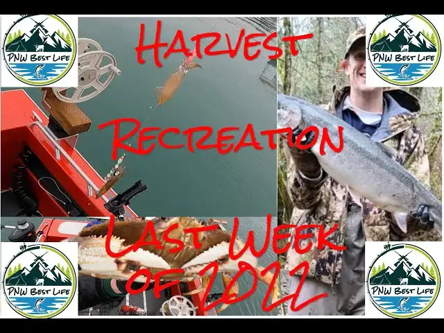 'Video thumbnail for Puget Sound Crab and Squid! Steelhead updates - Harvest Recreation Last week of 2022!'