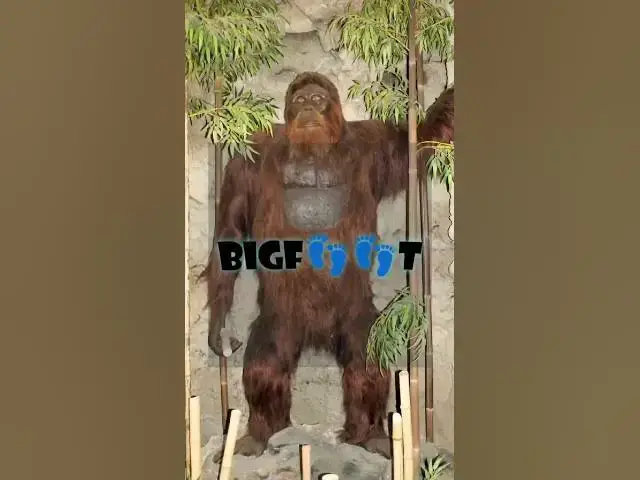 'Video thumbnail for Bigfoot: The Evidence That Proves He Exists'