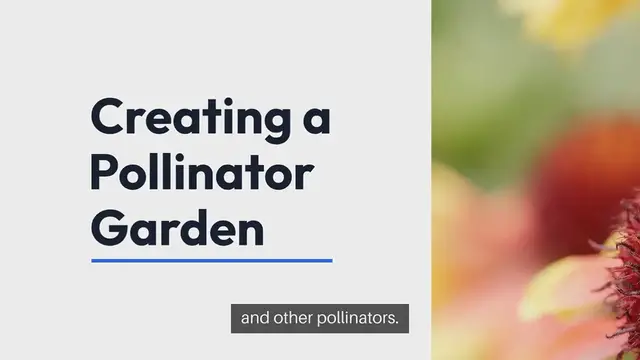 'Video thumbnail for Pollinator Garden Planting Guide'