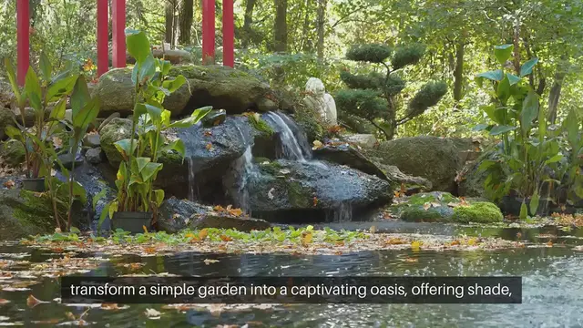 'Video thumbnail for Garden Arbor Designs'
