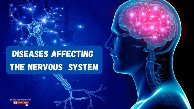 'Video thumbnail for Diseases affecting the Nervous System | Human Body Systems @biologyexams4u'