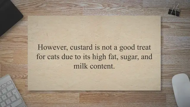'Video thumbnail for Can Cats Eat Custard? Is Custard Bad For Cats?'