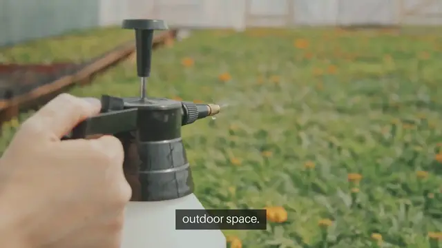'Video thumbnail for Indoor gardening balcony ideas'