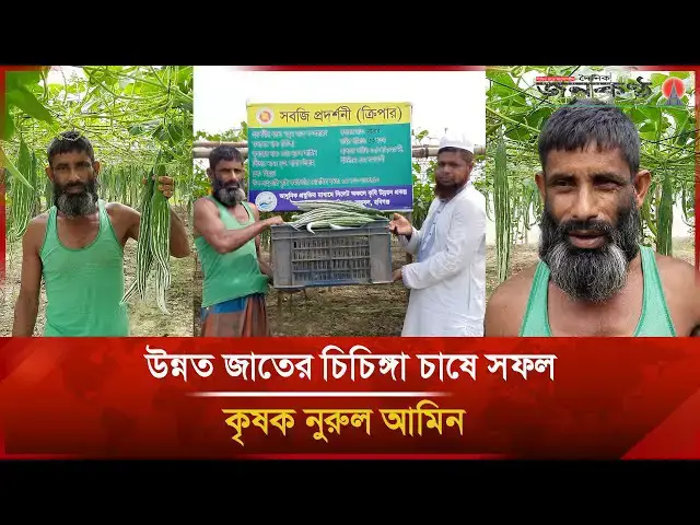 'Video thumbnail for উন্নত জাতের চিচিঙ্গা চাষে সফল কৃষক নুরুল আমিন | Janakantha'
