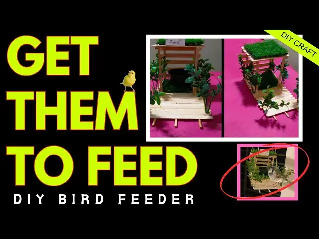'Video thumbnail for DIY Outdoor Bird feeder that birds will love!'
