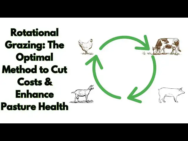 'Video thumbnail for Rotational Grazing'