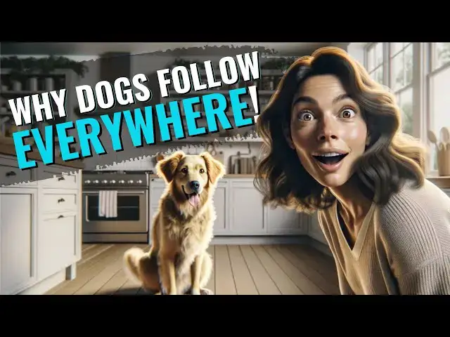 'Video thumbnail for Surprising Reasons Dogs Follow You Everywhere'