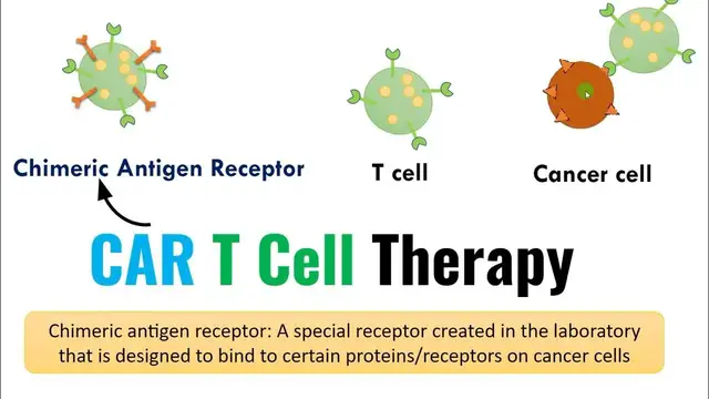 'Video thumbnail for What is CAR T-Cell Therapy? Steps in CAR T-Cell Therapy'