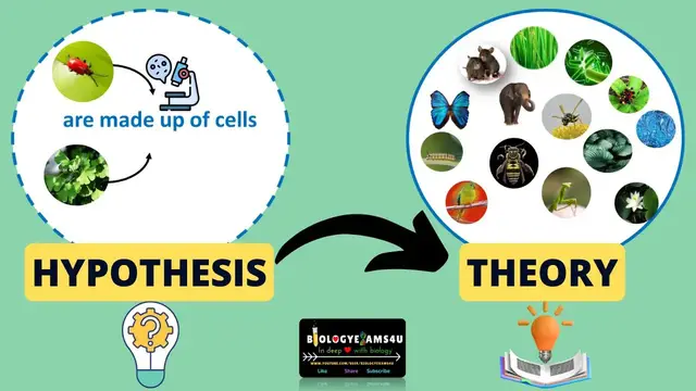 'Video thumbnail for Difference between Hypothesis and Theory'