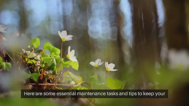 'Video thumbnail for Flower Garden Maintenance Advice'