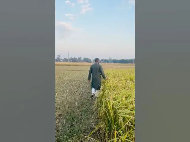 'Video thumbnail for Beautiful Bangladesh #bangladesh'