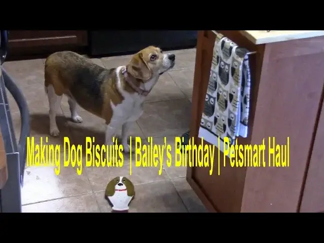 'Video thumbnail for Bailey's Birthday | PetSmart Haul | Dog Biscuits'