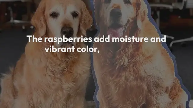 'Video thumbnail for White_Chocolate_Raspberry_Loaf'