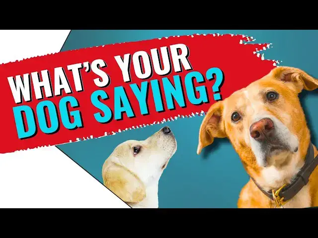 'Video thumbnail for How to Speak Dog: What's Your Dog Trying to Tell You?'