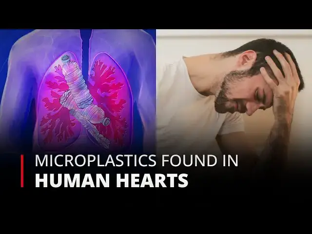 'Video thumbnail for Unveiling a Shocking Truth Microplastics Discovered in Human Hearts | 12am News'