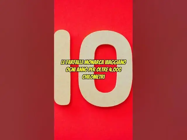 'Video thumbnail for Farfalle Monarca: La Migrazione Più Lunga del Mondo! #shorts'