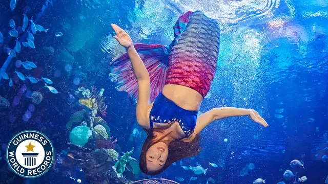 'Video thumbnail for Check out these Mermaid world records'