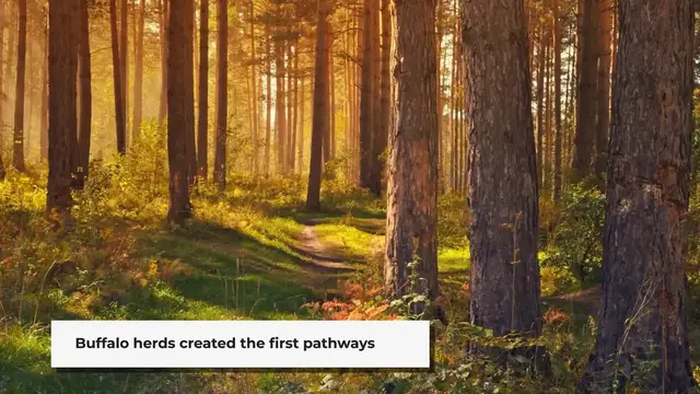'Video thumbnail for Michigan's Roads: Ancient Trails to Modern Highways'