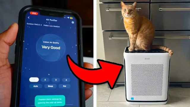 'Video thumbnail for Is The Levoit Vital 200S The Best Air Purifier 2024? | Full Setup'