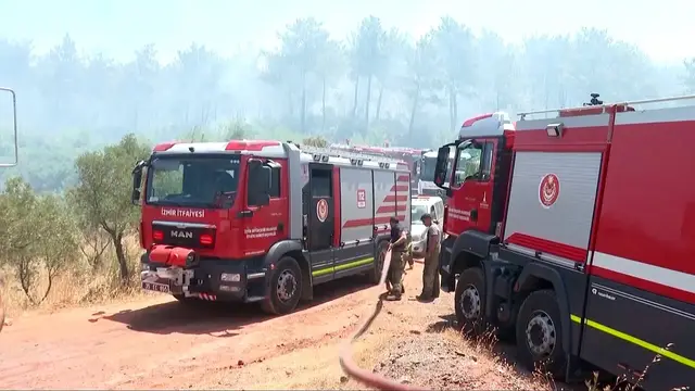 'Video thumbnail for Turkiye’s wildfire season intensifies; crews struggle as winds spread flames in Hatay, İzmir'