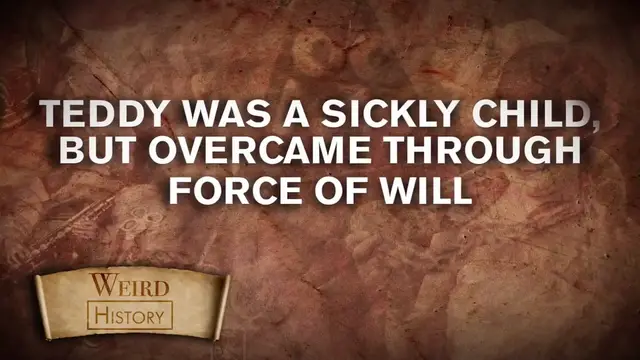 'Video thumbnail for Hardcore Facts About Teddy Roosevelt'