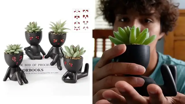 'Video thumbnail for Yastouay 4 Pack Fake Succulents Plants Review'