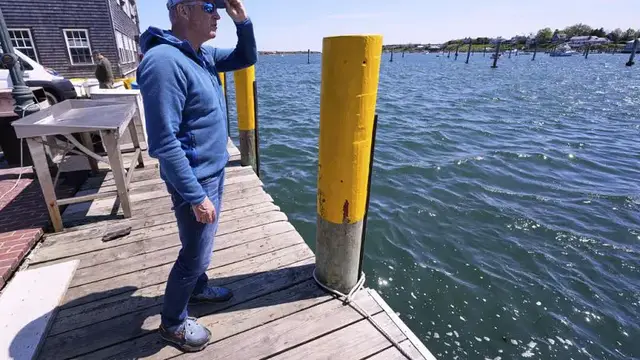 'Video thumbnail for Endurance athlete marks 'Jaws' anniversary with swim to change shark narrative'