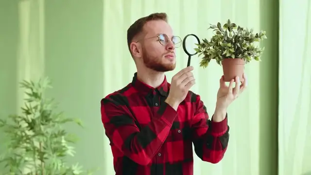 'Video thumbnail for Watering Tips for Houseplants'