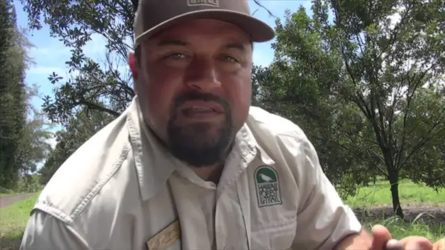 'Video thumbnail for American Travelers experience Forest & Trail Tours on the Big Island of Hawaii'