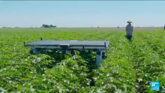 'Video thumbnail for AI robots tackle weeds without chemicals'
