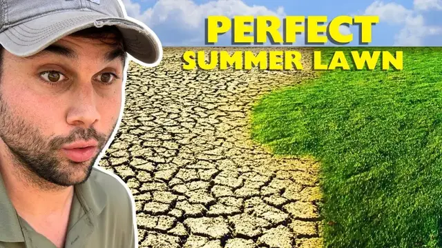 'Video thumbnail for Summer Lawn HACKS: DO NOT MISS THESE. ?'