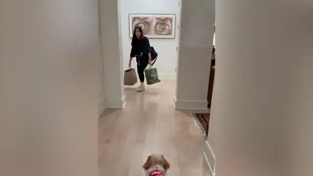 'Video thumbnail for Hija Sorprendida Con Cachorro Tras La Muerte De Su Primera Perrita'