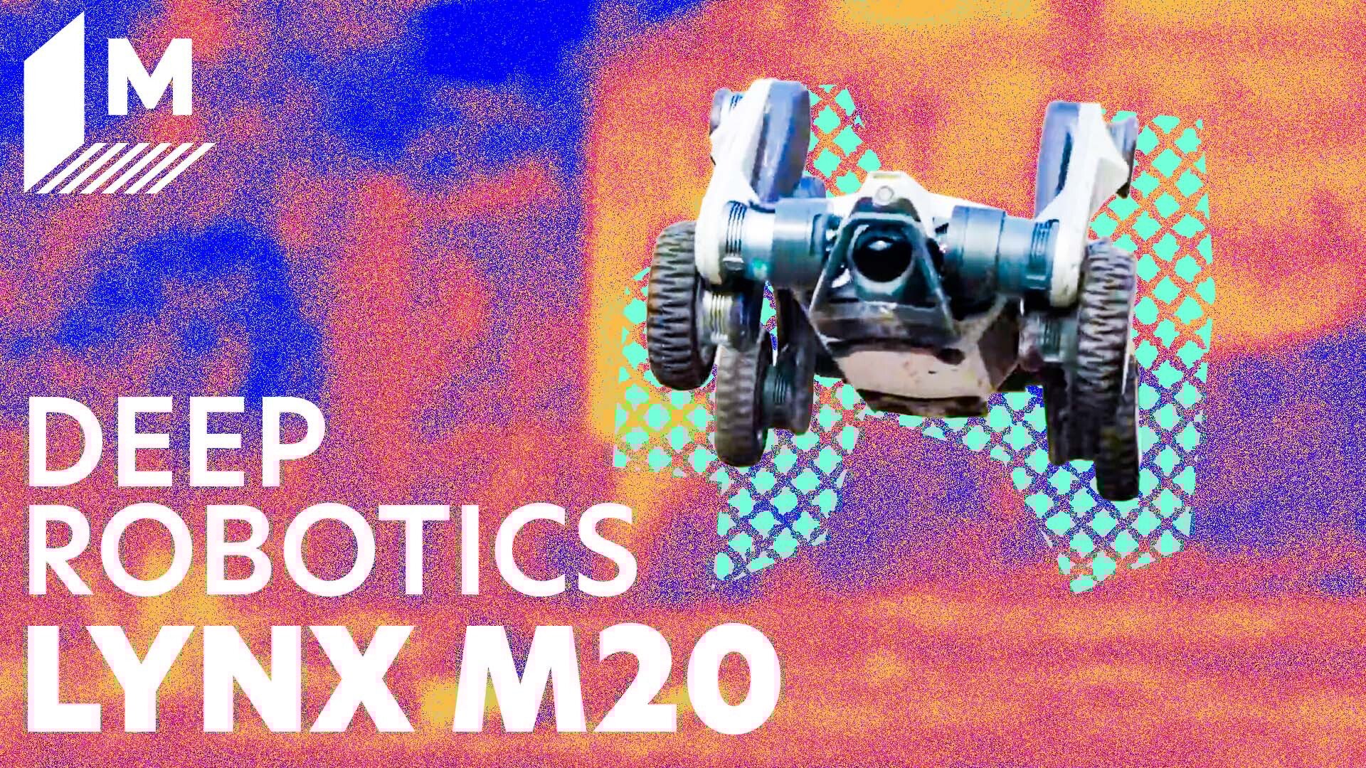 'Video thumbnail for Meet the robot dog that stands, walks, and rolls through extreme environments'