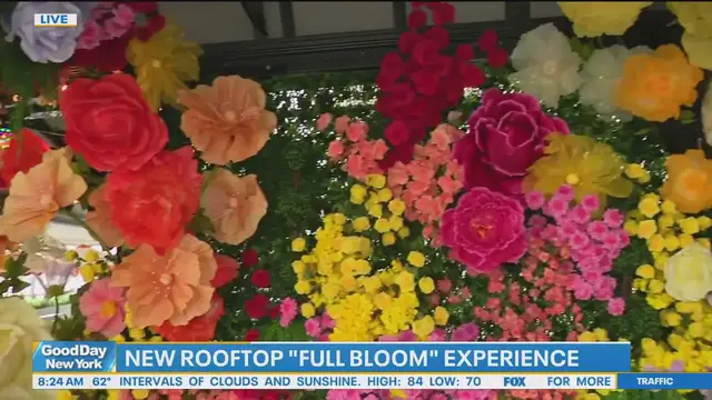 'Video thumbnail for Midtown rooftop offers 'full bloom' experience'