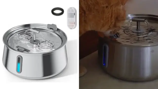 'Video thumbnail for iPettie Rotunda Cat Water Fountain Stainless Steel Review'