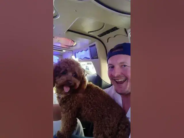 'Video thumbnail for Mia 🐶 and me 🤩'