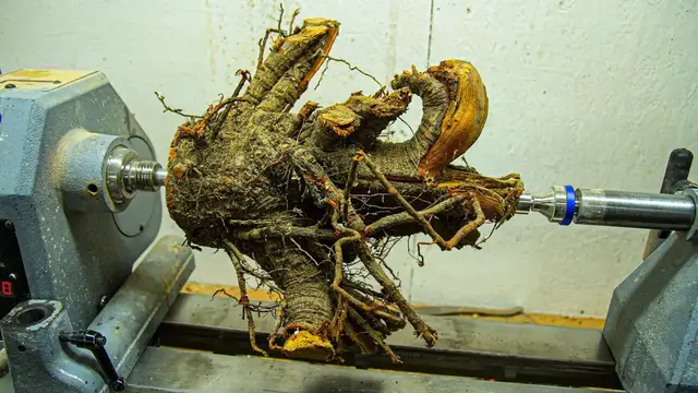 'Video thumbnail for Woodturning – Rooty Firewood to Beautiful Vase'