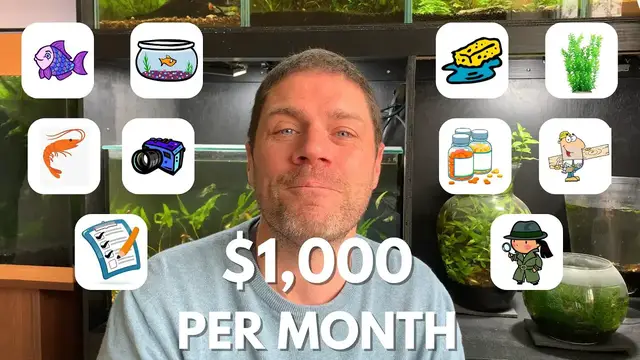 'Video thumbnail for 10 Aquarium Side Hustles: Making $1,000 a month from your aquariums'