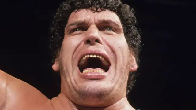 'Video thumbnail for Stars Andre The Giant Couldn't Stand'