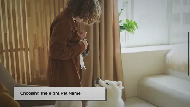 'Video thumbnail for 20 Popular Pet Names in the USA with Brief Meanings'