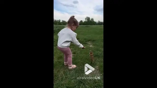 'Video thumbnail for VV4965 Little girl treats gophers with cookies'