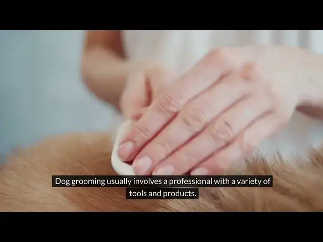 'Video thumbnail for DIY Dog Grooming Made Easy: Unleashing the Basics of At-Home Canine Care'