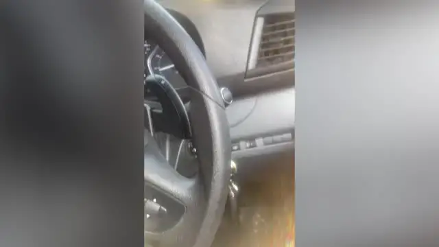 'Video thumbnail for Dog Owner Captures Pooch's 'Love At First Sight' With Dog In Car Next To Them'
