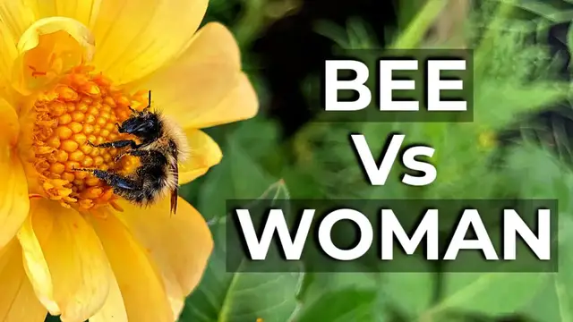 'Video thumbnail for The Truth of Why I am Afraid of Bees on our Homestead'